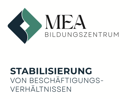 MEA - Flyer Stabilisierung